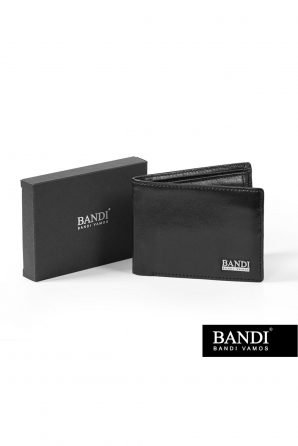 Pánska peňaženka TONNI Nero s elegantnou darčekovou krabičkou