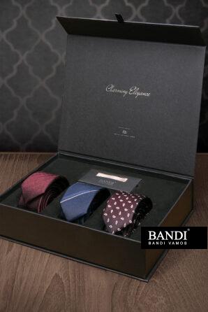 Hodvábne kravaty a vreckovku BANDI Ernezzo bude mať muž po ruke na každú príležitosť